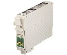 EPSON T0891 juodos spalvas rašalinė