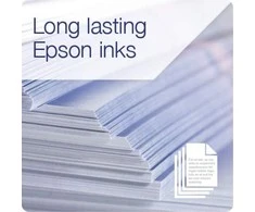EPSON T6641 juodos spalvos rašalinė