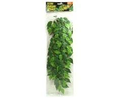 Hagen Fluval Exo Terra šilkinis fikusas terariumui 55cm