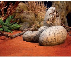 Exo Terra Hagen DINOSAUROS DEKLARACIJA Vištos