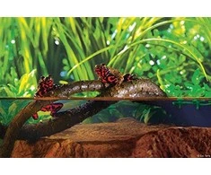 Exo Terra Hagen EXOTERA LiANA L