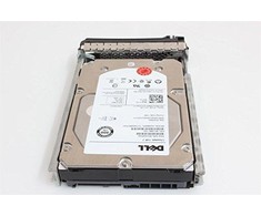 „Dell“ 300 GB 3,5 colio SAS-2 (6 Gb/s) serverio diskas (F617N)