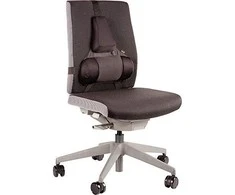 Fellowes Profesionali atrama (8037613)