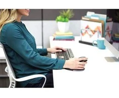 Vertikali belaidė pelė FELLOWES PENGUIN, vidutinė