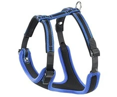 Ferplast Ergocomprese P Braces XL mėlyna
