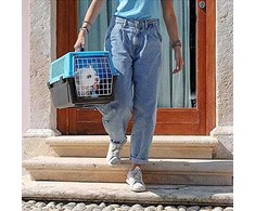 Ferplast Transporter Atlas 20 El 58x37x32 cm