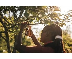 Fiskars Plus PowerLever metalinis sekatorius prasilenkiančiais ašmenimis (P751)