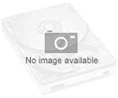 Serverio diskas Fujitsu AF250S3 VERTĖS SSD SAS 3.84TB 2