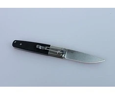 Sulankstomas peilis Ganzo Firebird F7211-BK
