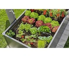 Gardena Pradinis rinkinys lysvėms/pakeltoms lysvėms (35 augalams)