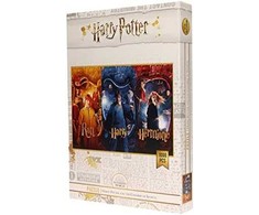 Sd Toys Wizarding World Dėlionė 50 HARRY POTTER RON HERMIONA