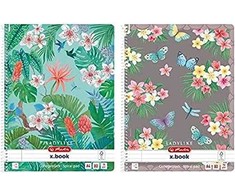 Herlitz Herlitz 50044245 sąsiuvinis A4 80 lapų Įvairių spalvų