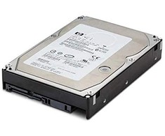 Hewlett Packard (HP) HP 500 GB 2,5 colio SAS-2 (6 Gb/s) serverio diskas (713829-B21)