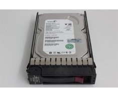 Hewlett Packard (HP) HP serverio diskas 160GB 3.5'' SATA III (6 Gb/s) (397552-001)