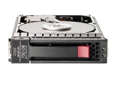 HP serverio diskas 750GB 3,5'' SATA III (6 Gb/s) (459320-001)