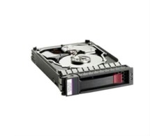 Hewlett Packard (HP) Serverio diskas HP 750GB 3.5" SATA II (3 Gb/s) (458930-B21)