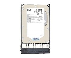 Hewlett Packard (HP) Serverio diskas HP 750GB 3.5" SATA II (3 Gb/s) (458930-B21)