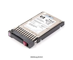 Hewlett Packard (HP) HP 300 GB 2,5 colio SAS serverio diskas (492620-B21)