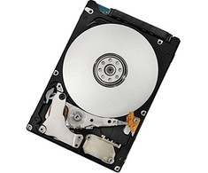 IBM 500GB 2.5'' SATA III (6Gb/s) serverio diskas (42D0753)