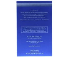 Kvepalai vyrams Jaguar Evolution EDT, 100 ml