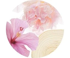 Jimmy Choo L'Eau tualetinis vanduo 90ml