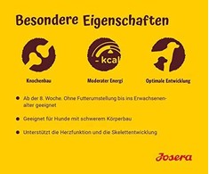 Josera Kids sausas maistas augantiems šuniukams 900g