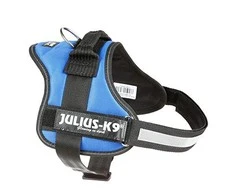 Trixie Julius- K9 suspenders Gr. 0-3 - Mėlyna M-L