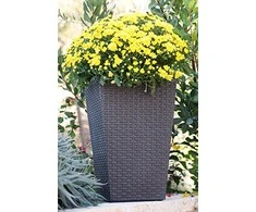 Curver Keter vazonas Rattan Planter, 57cm