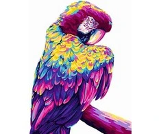Wizardi Tapybos pagal skaičius rinkinys: H140 Parrot Pop Art 40*50