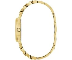 Laikrodis Watches GUESS LADIES GW0653L1