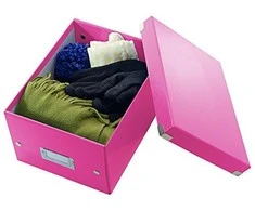 Universali dėžė Leitz Click&amp;Store Small, 216x160x282mm, rožinės spalvos
