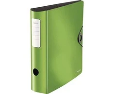 Segregatorius Leitz A4 80mm žalia (10471050)