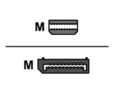 Lenovo | Mini-DisplayPort į DisplayPort adapteris | Mini-DisplayPort | DisplayPort