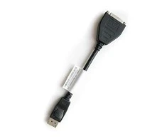 AV adapteris Lenovo Rodyti Uostas - DVI- D juoda (43N9159)