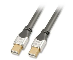 Kabelis Lindy Rodyti Port mini - DisplayPort mini 2m sidabro (41542)