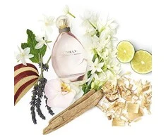 Sarah Jessica Parker Lovely EDP parfumuotas vanduo unisex, 30 ml