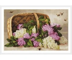 luca S Lelijų krepšelis SB501