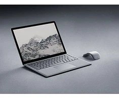 Microsoft Surface Arc pelė, pilka