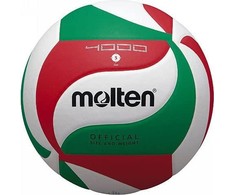 Tinklinio kamuolys Molten V5M4000-X