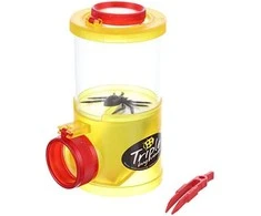 Moses Insect Observation Container + 3 LUPES ir dirbtinis voras