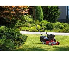 Aeratorius Optima 38 VO, MTD