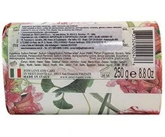 Nesti Dante Dolce Vivere Fine Natural Soap Pisa 250 g