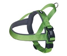 Nobby CLASSIC PRENO M-L Žalias 50-64cm 20/25