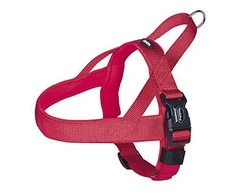 Nobby Classic šunų petnešos preno red dydis XL (75-98cm)