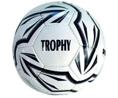 Futbolo kamuolys Spartan Throphy, sint. oda, 5 dydis
