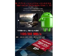 Atminties kortelė Patriot Memory EP Pro PEF256GEP31MCX (256GB, Class 10, Class U3, Atminties kortelė)