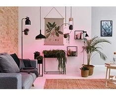 Paulmann LED šaltinis Plant R50 E14 6.5W 230V pro augimą