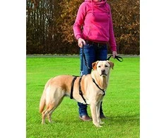TRIXIE Panic petnešos su apsauga nuo nuo pabėgimo, L-XL 75-100 cm-25 mm, juodos