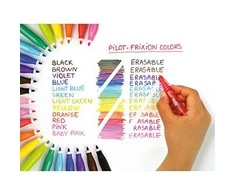 Pilot Pen Trinami flomasteriai Pultas FRIXION COLORS, 12 spalvų