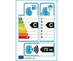 Žieminės padangos Tracmax Ice Plus S210 225/60 R17 99 H (C C B 72dB)
